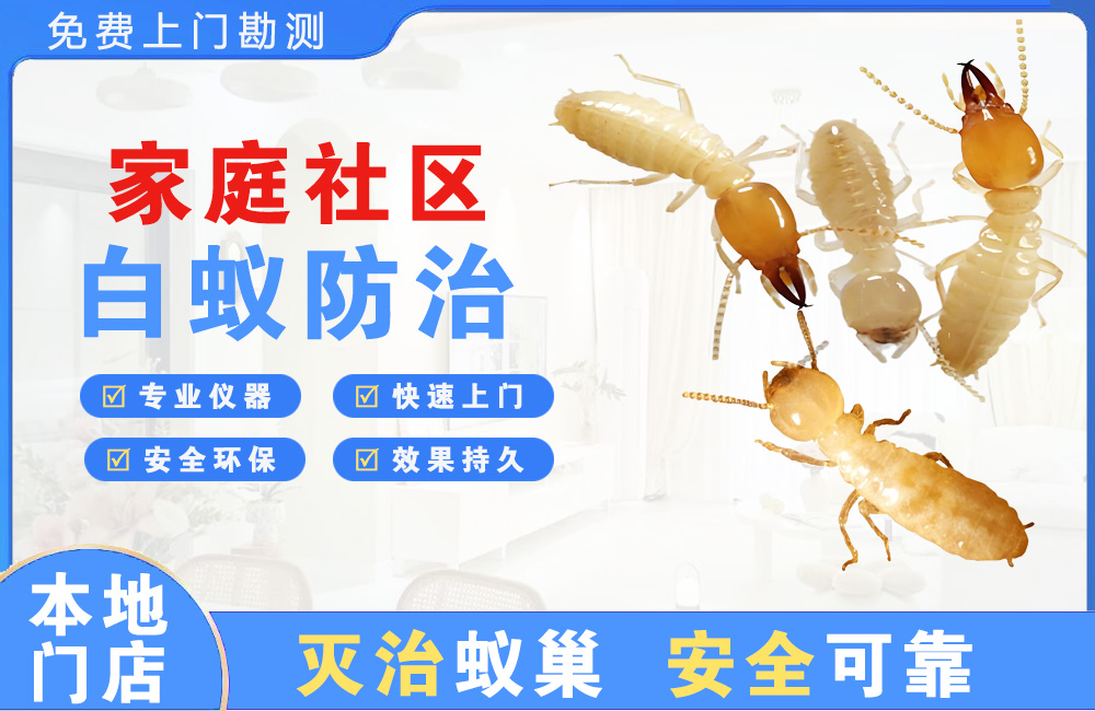 东方家庭社区白蚁防治