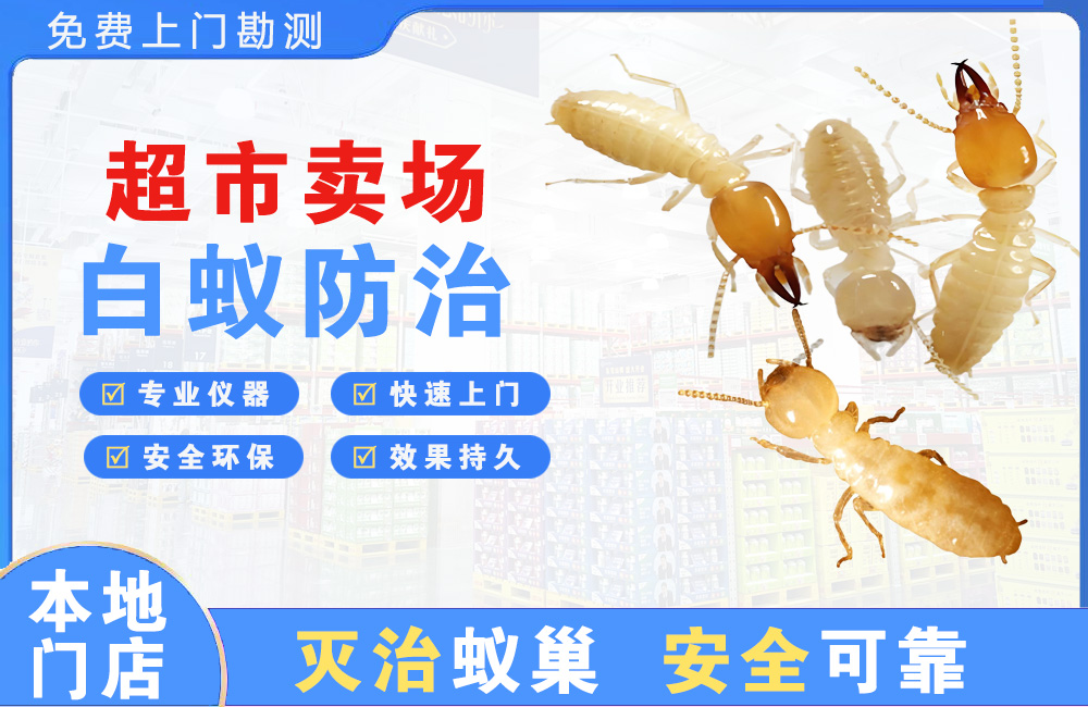 东方超市卖场白蚁防治