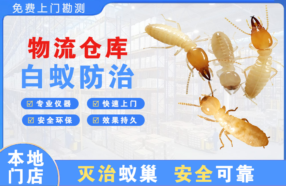 东方物流仓库白蚁防治