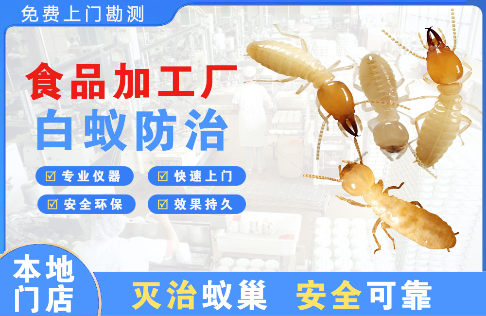 东方食品加工厂白蚁防治