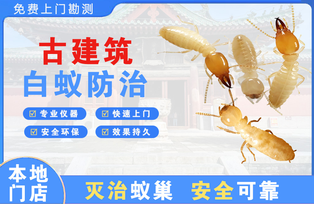 东方古建筑白蚁防治