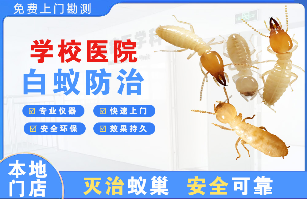 东方学校医院白蚁防治