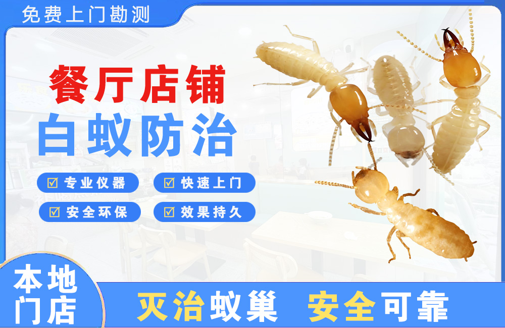 东方餐厅店铺白蚁防治